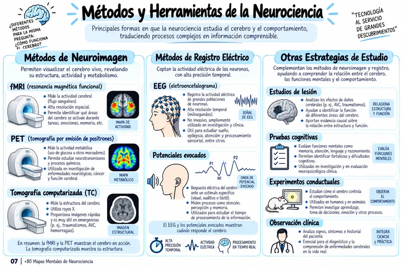 Mapa mental: métodos y herramientas de la neurociencia